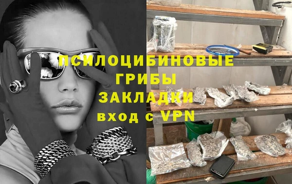 гидропоника Алзамай