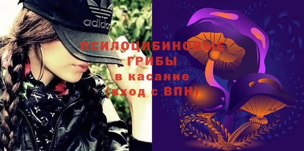 гидропоника Алзамай