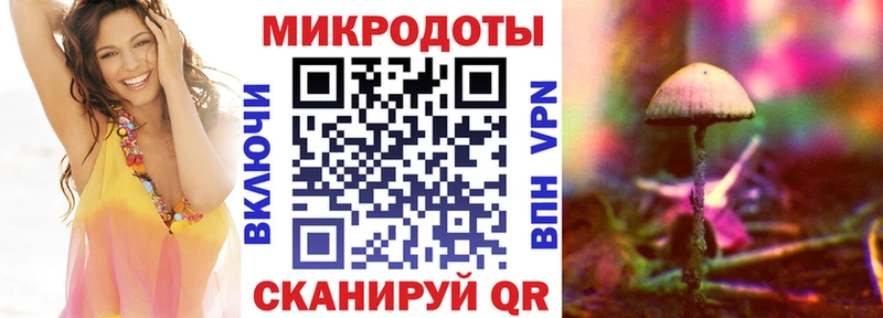 Галлюциногенные грибы Psilocybine cubensis  OMG ссылки  Черноголовка  как найти наркотики 